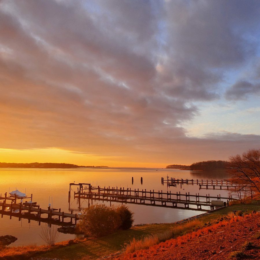 Chesapeake Bay Gardening