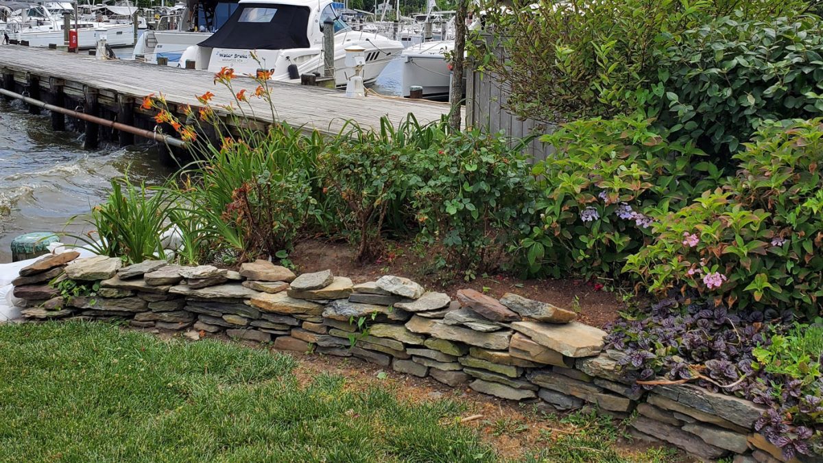 Patio Design and Installations