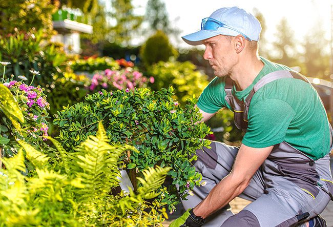 Annapolis Landscaper, Garden Girls