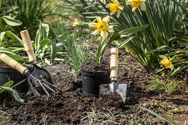 Maryland Gardener, Garden Girls