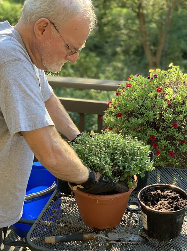 Annapolis Landscaper, Garden Girls