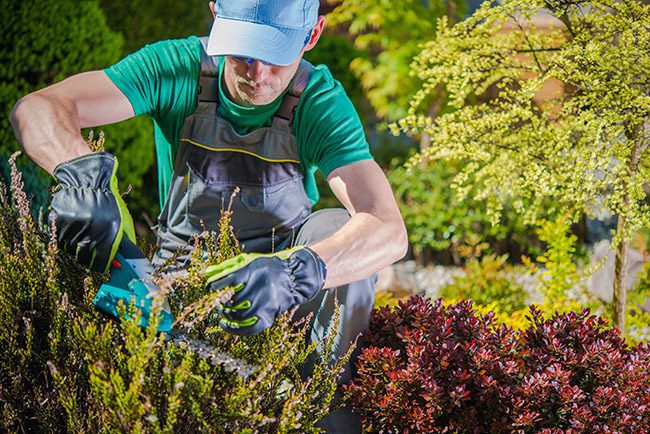 Annapolis Gardening, Garden Girls Landscaping