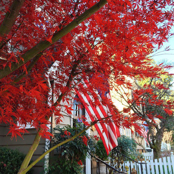 Annapolis Landscaper, Garden Girls